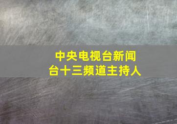 中央电视台新闻台十三频道主持人