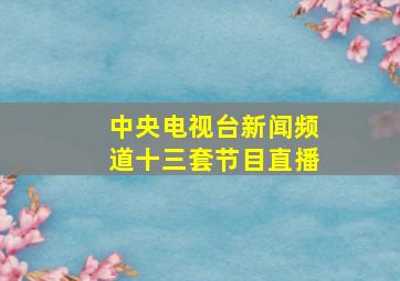 中央电视台新闻频道十三套节目直播