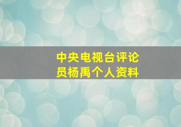 中央电视台评论员杨禹个人资料