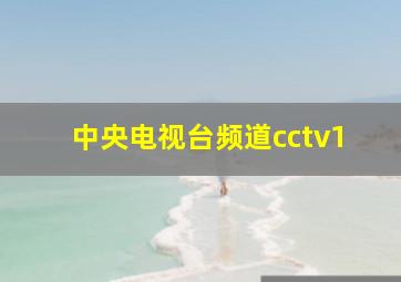 中央电视台频道cctv1