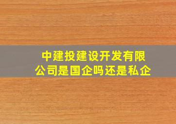 中建投建设开发有限公司是国企吗还是私企