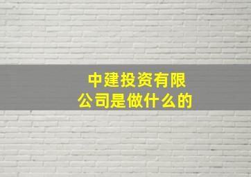 中建投资有限公司是做什么的