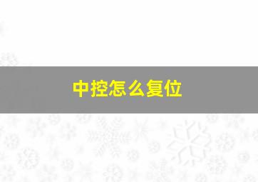 中控怎么复位