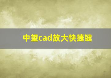 中望cad放大快捷键