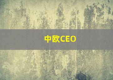 中欧CEO