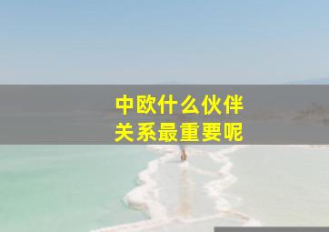 中欧什么伙伴关系最重要呢