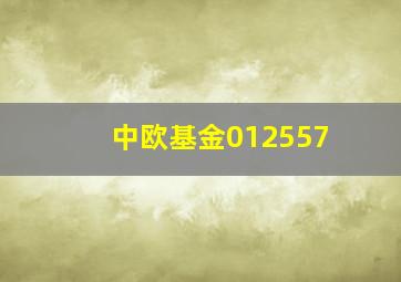 中欧基金012557