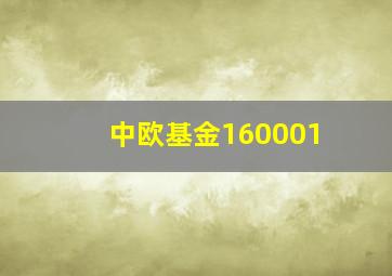 中欧基金160001