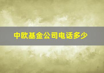 中欧基金公司电话多少