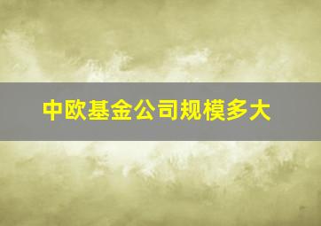 中欧基金公司规模多大