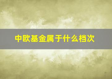 中欧基金属于什么档次