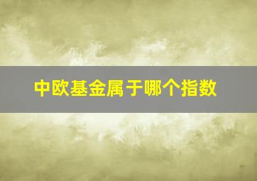 中欧基金属于哪个指数