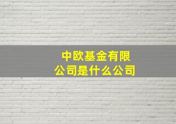 中欧基金有限公司是什么公司