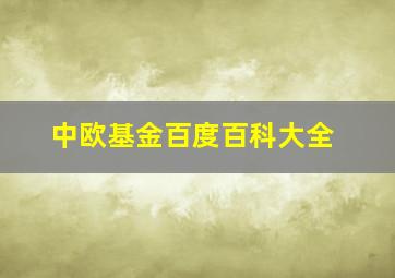 中欧基金百度百科大全