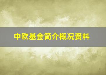 中欧基金简介概况资料