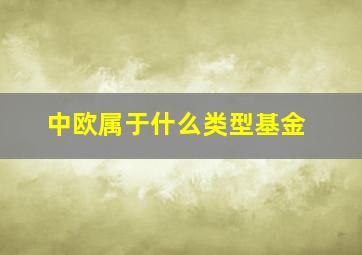 中欧属于什么类型基金