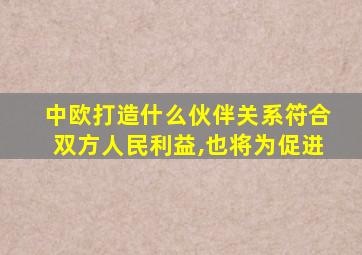 中欧打造什么伙伴关系符合双方人民利益,也将为促进