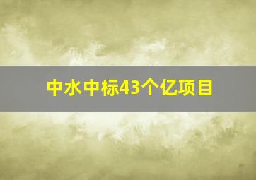 中水中标43个亿项目