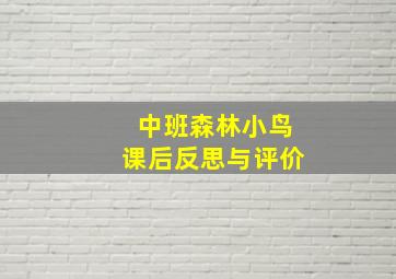 中班森林小鸟课后反思与评价