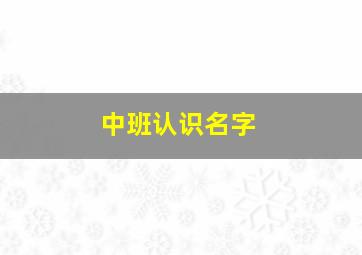 中班认识名字