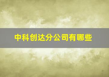 中科创达分公司有哪些