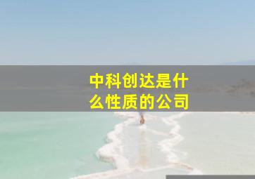 中科创达是什么性质的公司