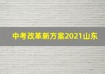 中考改革新方案2021山东