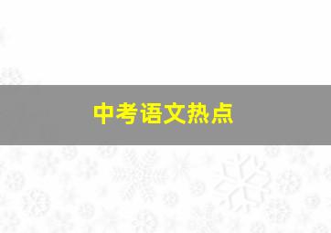 中考语文热点