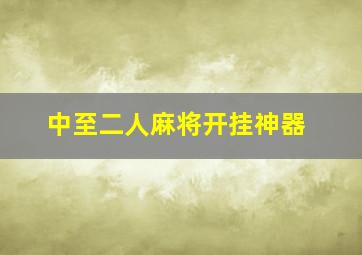 中至二人麻将开挂神器