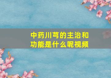 中药川芎的主治和功能是什么呢视频