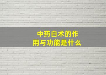 中药白术的作用与功能是什么