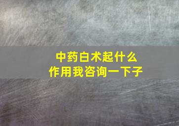 中药白术起什么作用我咨询一下子