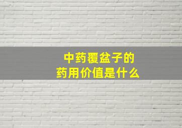 中药覆盆子的药用价值是什么