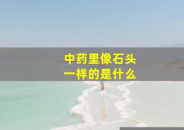 中药里像石头一样的是什么