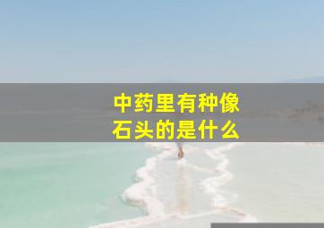 中药里有种像石头的是什么