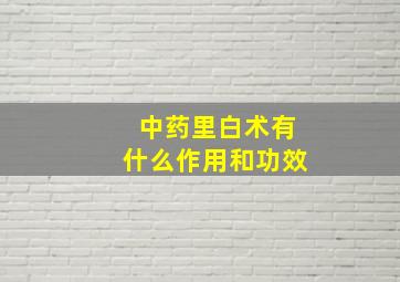 中药里白术有什么作用和功效