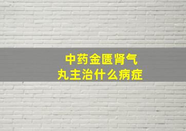 中药金匮肾气丸主治什么病症