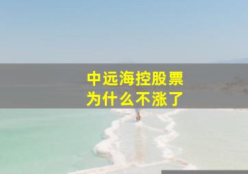 中远海控股票为什么不涨了