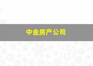 中金房产公司