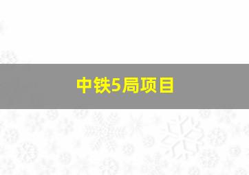 中铁5局项目