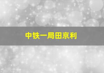 中铁一局田京利