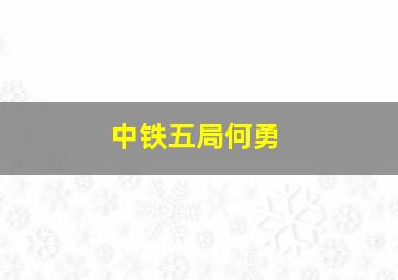 中铁五局何勇