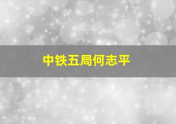 中铁五局何志平