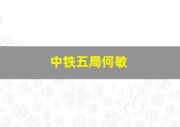 中铁五局何敏