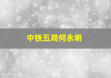 中铁五局何永明