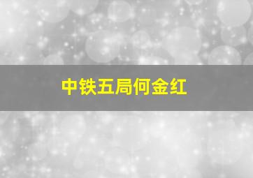 中铁五局何金红