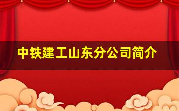 中铁建工山东分公司简介