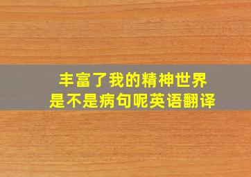 丰富了我的精神世界是不是病句呢英语翻译