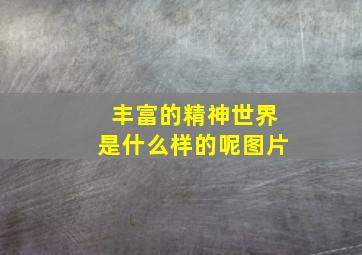 丰富的精神世界是什么样的呢图片