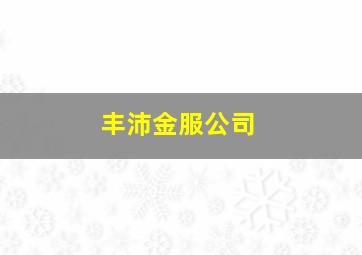 丰沛金服公司